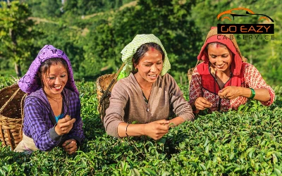 4n 5d Darjeeling & Kalimpong Tour